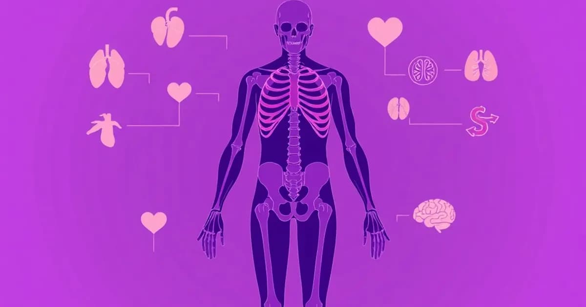 Anatomy guide - study with AI flashcards and spaced repetition