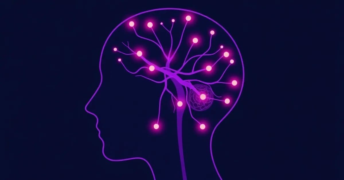 Cranial nerves - study with AI flashcards and spaced repetition