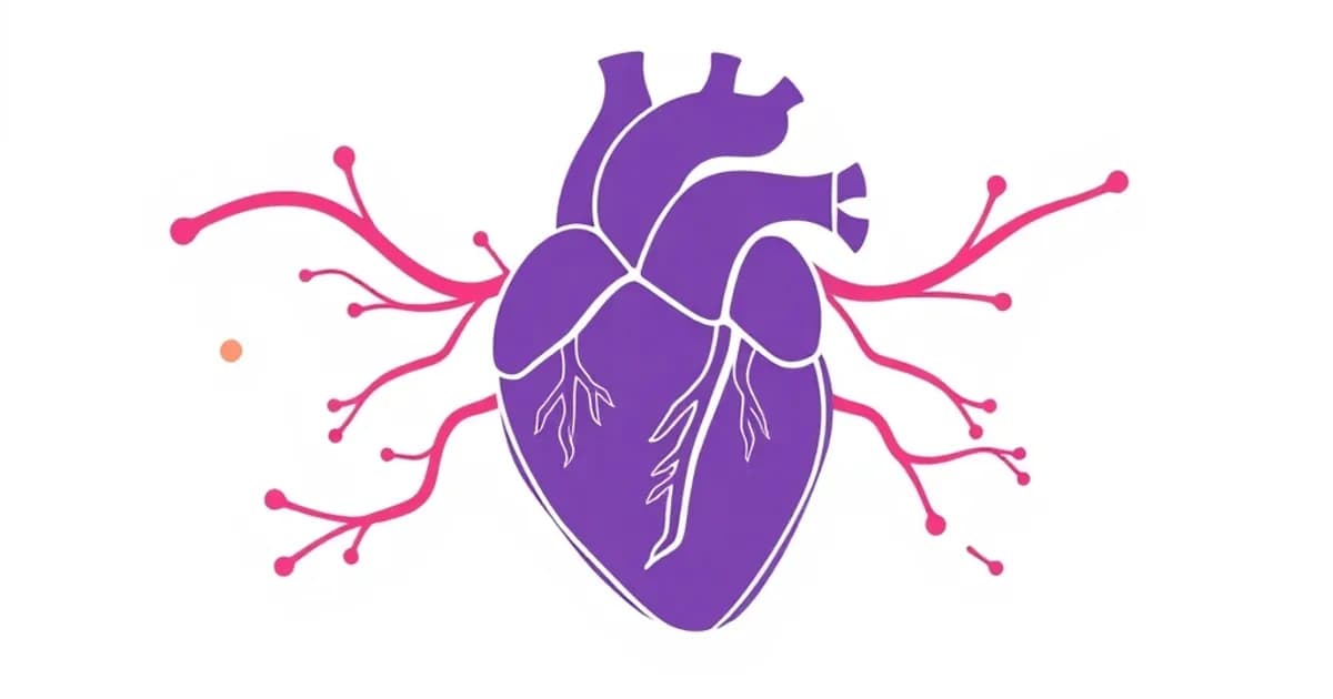 Heart anatomy - study with AI flashcards and spaced repetition