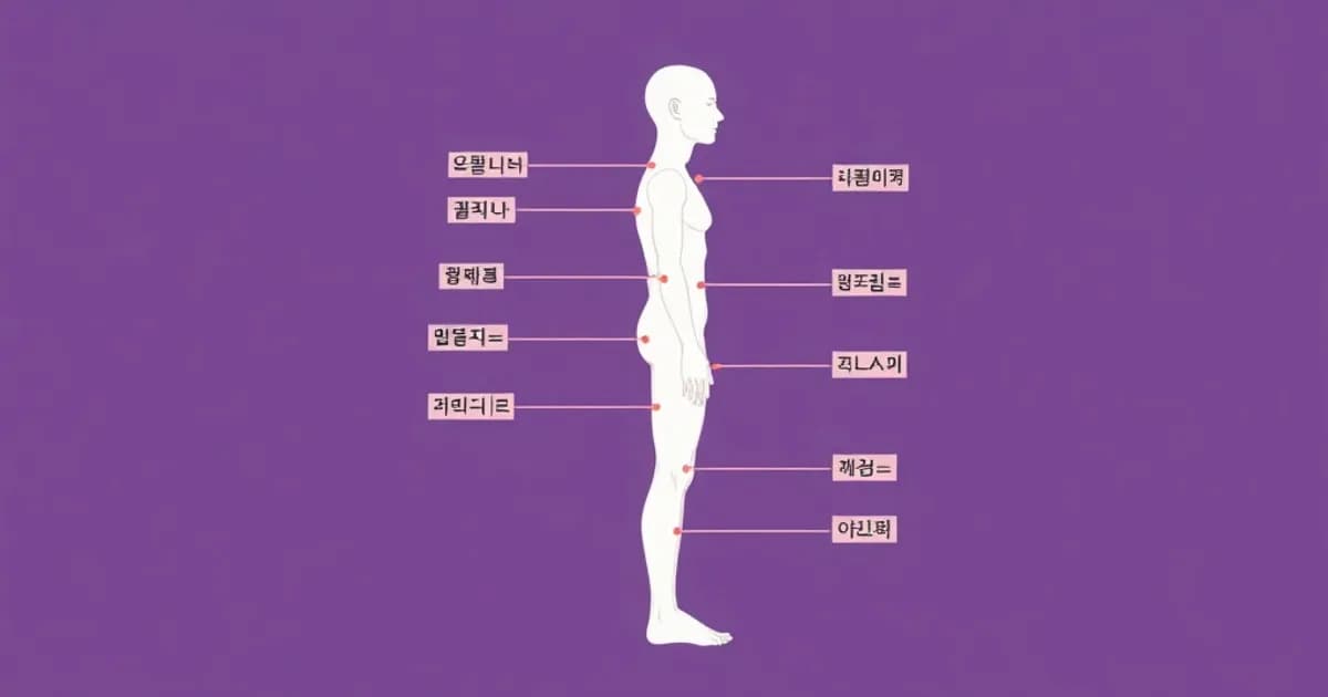 Korean body parts - study with AI flashcards and spaced repetition