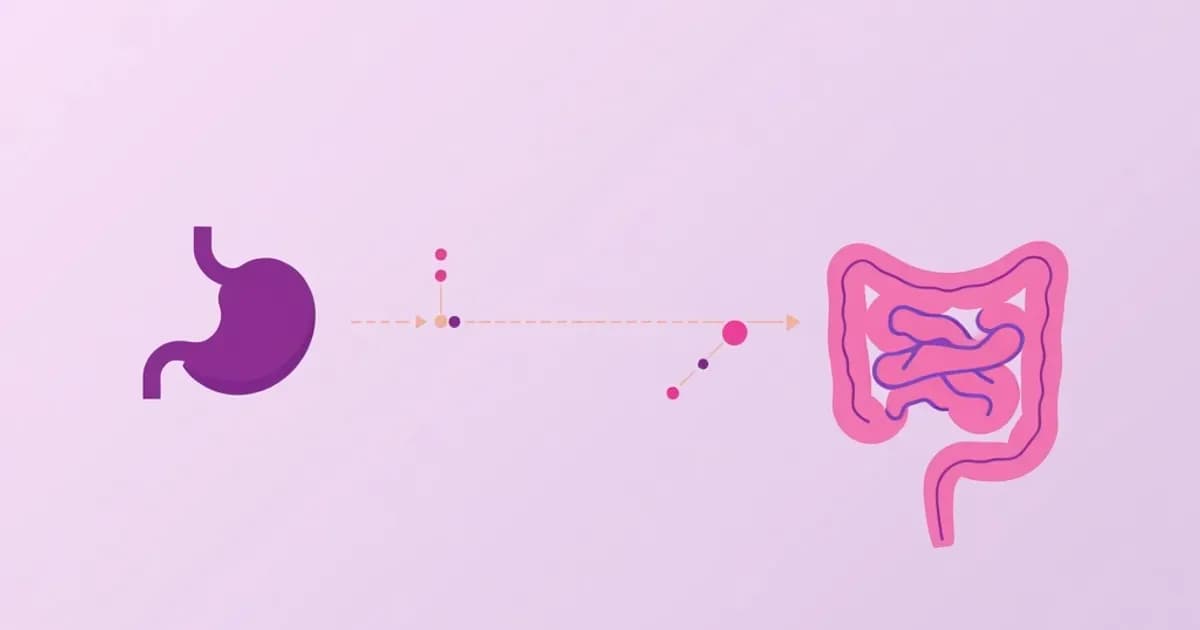 Usmle step 1 gastrointestinal physiology - study with AI flashcards and spaced repetition