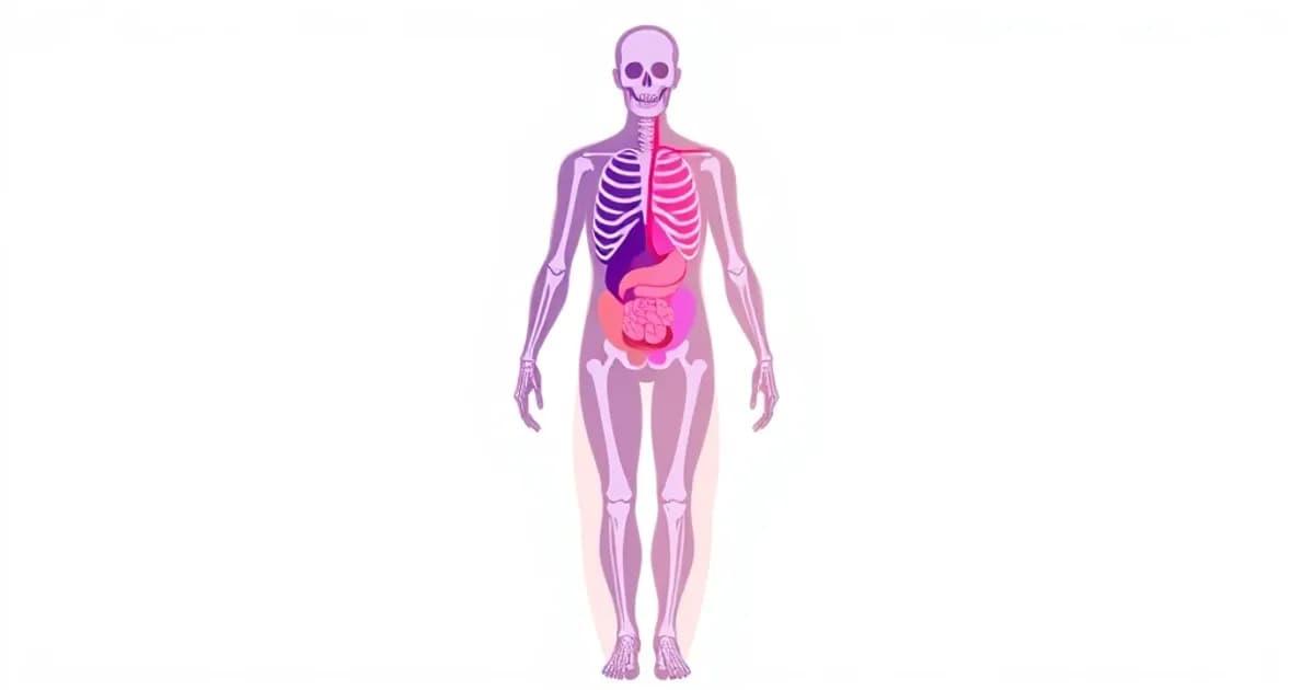 Anatomy and physiology guide - study with AI flashcards and spaced repetition