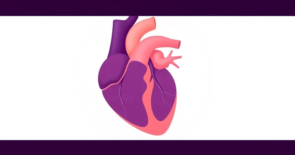 Coronary circulation anatomy - study with AI flashcards and spaced repetition