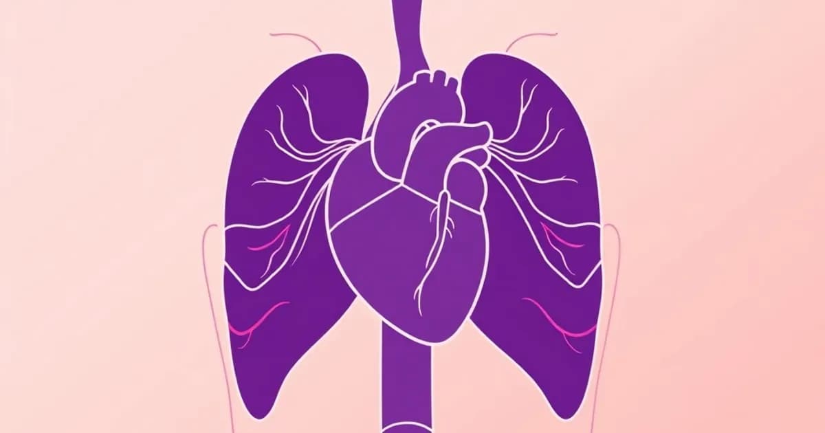 Pericardium and mediastinum anatomy - study with AI flashcards and spaced repetition