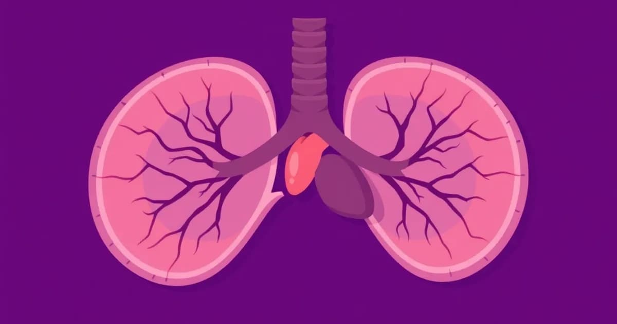 Thymus gland anatomy - study with AI flashcards and spaced repetition