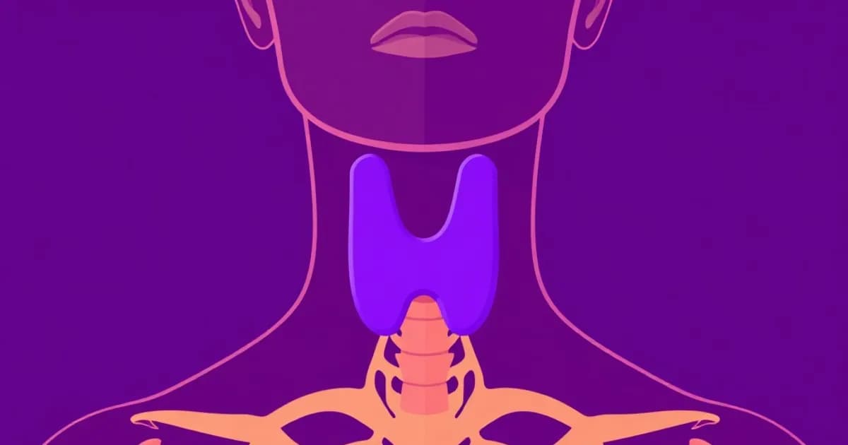 Thyroid gland anatomy - study with AI flashcards and spaced repetition