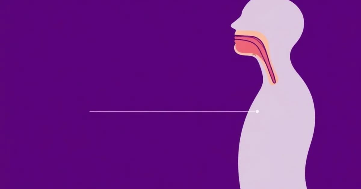 Esophagus anatomy - study with AI flashcards and spaced repetition