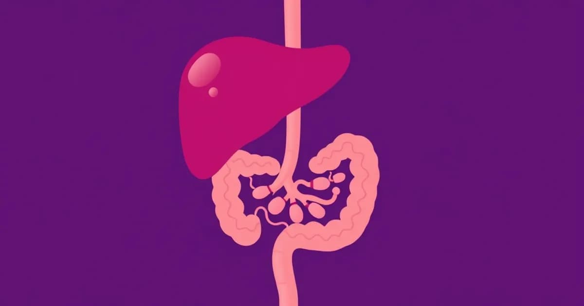 Gallbladder and bile ducts anatomy - study with AI flashcards and spaced repetition