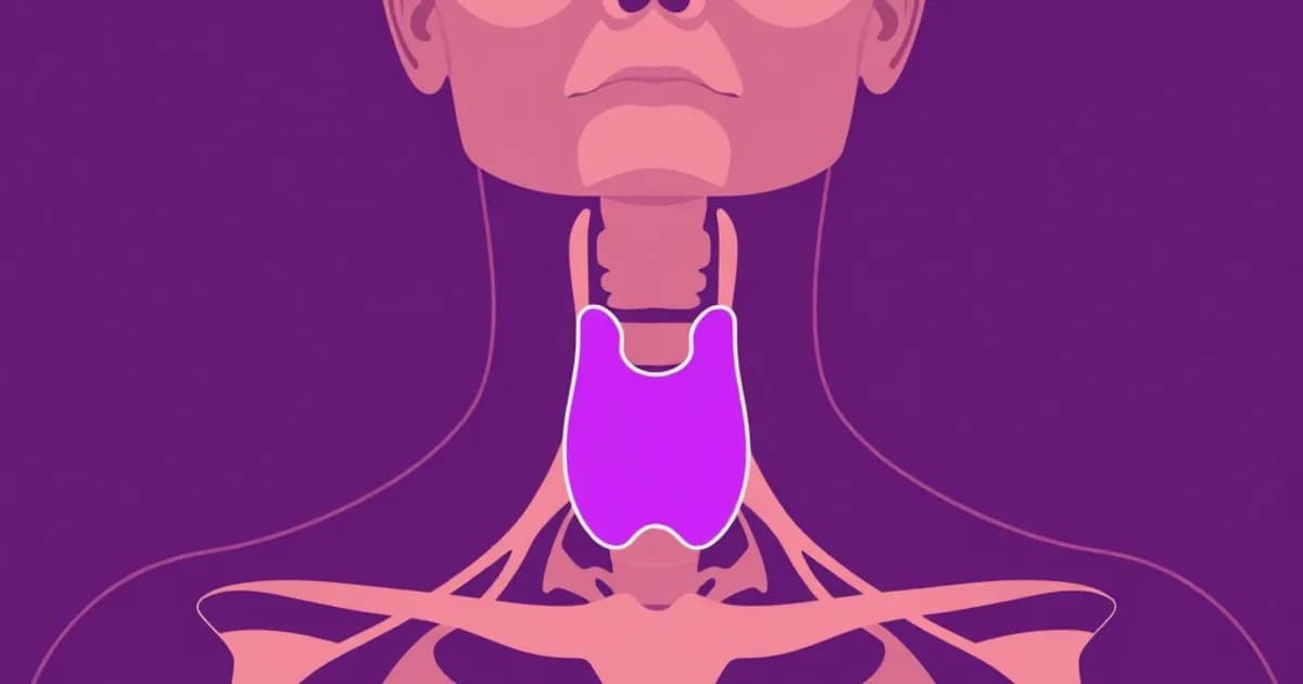 Thyroid gland location anatomy - study with AI flashcards and spaced repetition