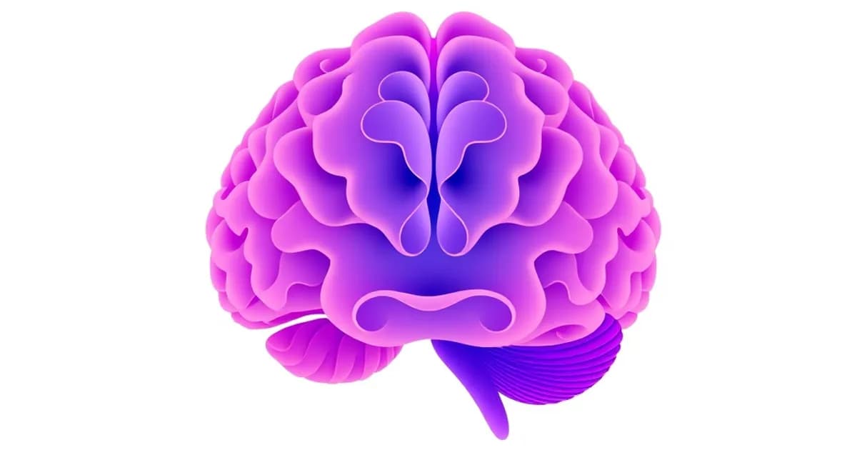 White matter tracts and commissures anatomy - study with AI flashcards and spaced repetition