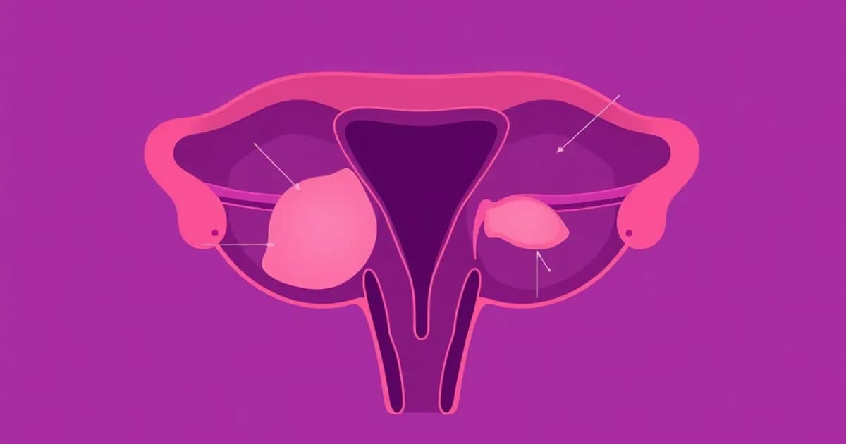 Prostate and seminal vesicles anatomy - study with AI flashcards and spaced repetition