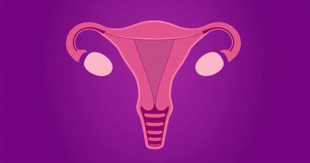Uterus and cervix anatomy - study with AI flashcards and spaced repetition