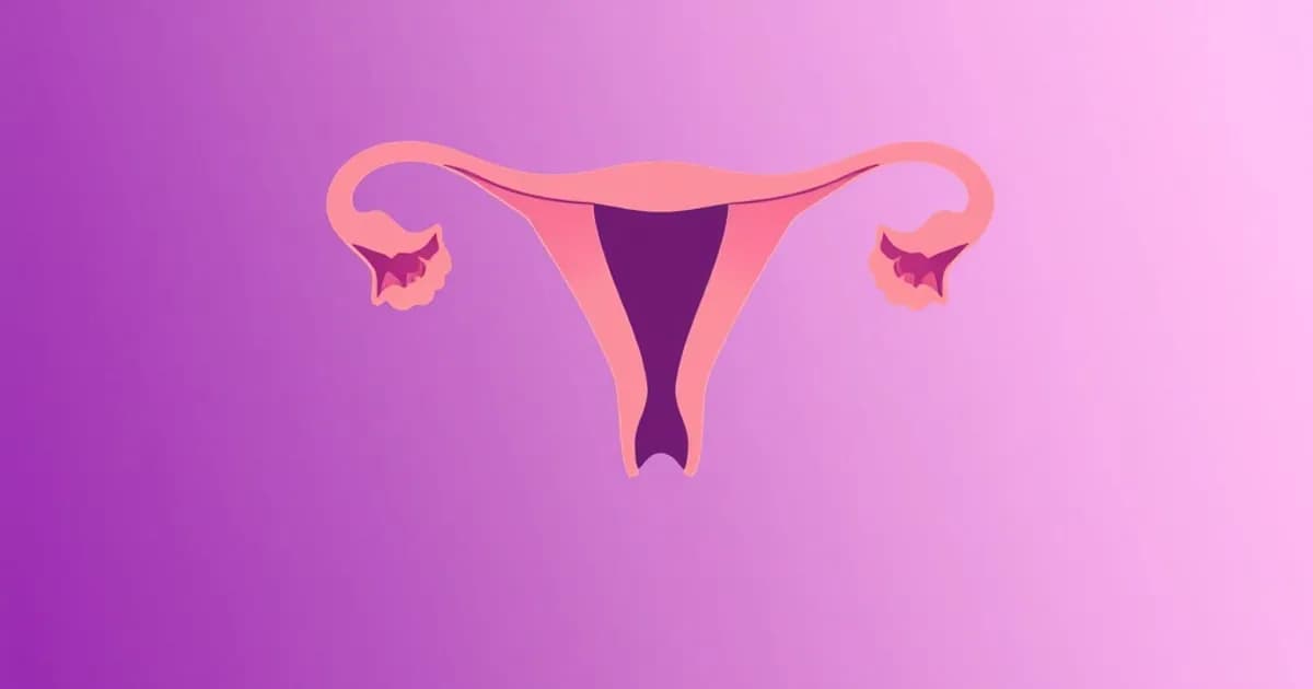 Vagina and perineum female anatomy - study with AI flashcards and spaced repetition