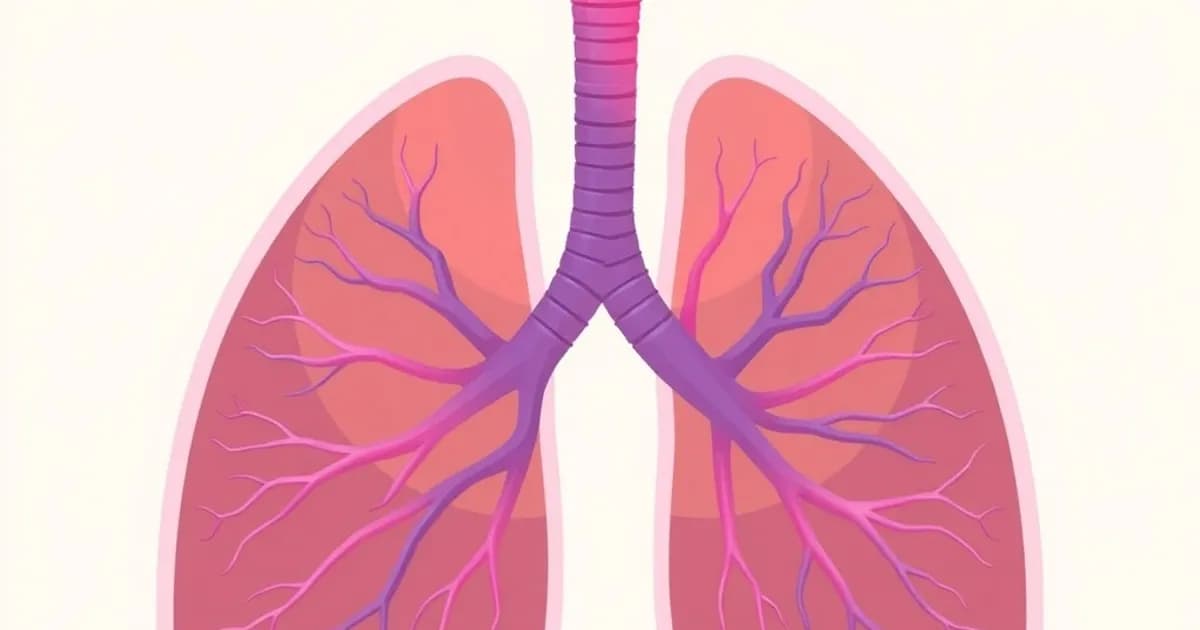 Blood supply to lungs anatomy - study with AI flashcards and spaced repetition