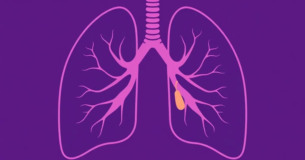 Hilum and root of lung anatomy - study with AI flashcards and spaced repetition
