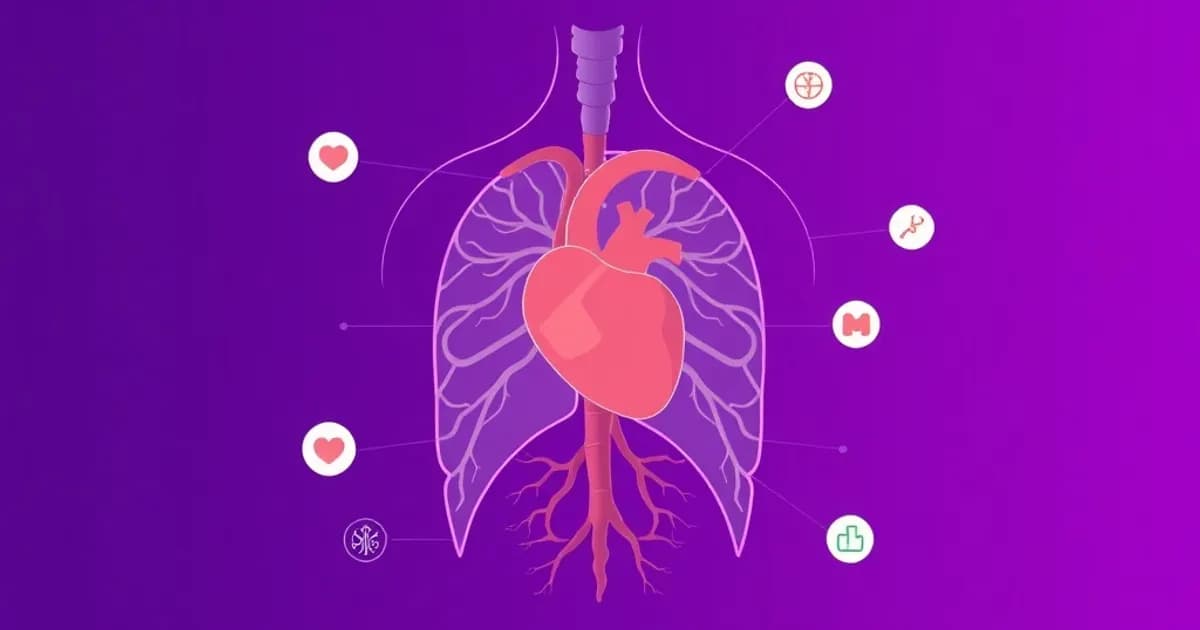 Mediastinal structures anatomy - study with AI flashcards and spaced repetition