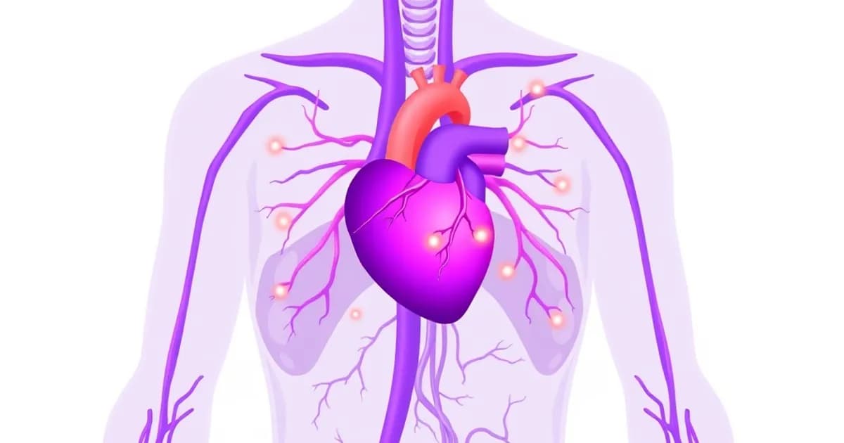 Comlex cardiovascular system - study with AI flashcards and spaced repetition