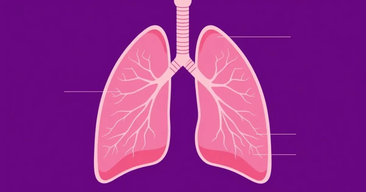Comlex pulmonary respiratory system - study with AI flashcards and spaced repetition
