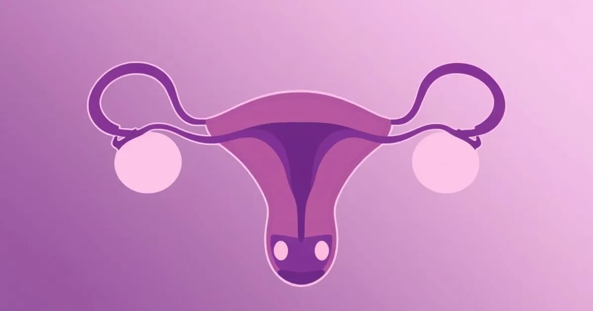Comlex reproductive system - study with AI flashcards and spaced repetition
