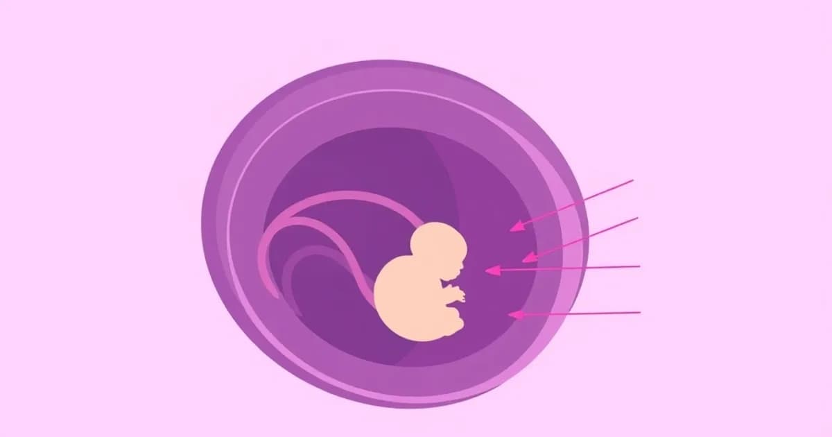 Umbilical cord prolapse nursing - study with AI flashcards and spaced repetition