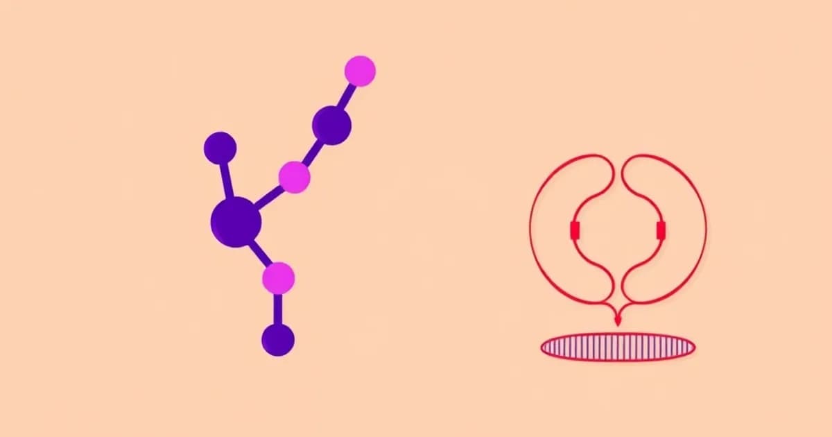 Polyene amphotericin B nystatin - study with AI flashcards and spaced repetition