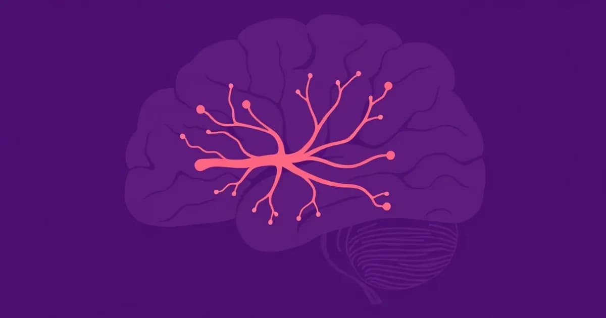 Optic nerve and visual pathways anatomy - study with AI flashcards and spaced repetition